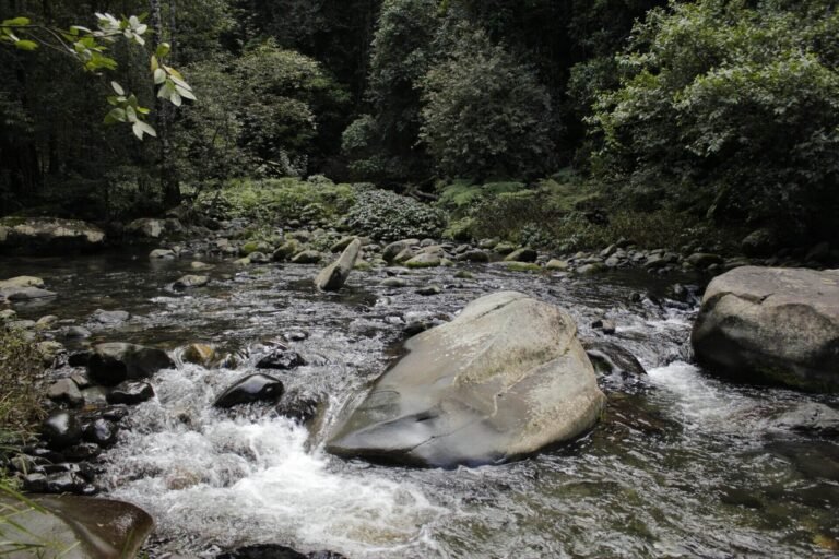 hunterarchaeology-imgg12