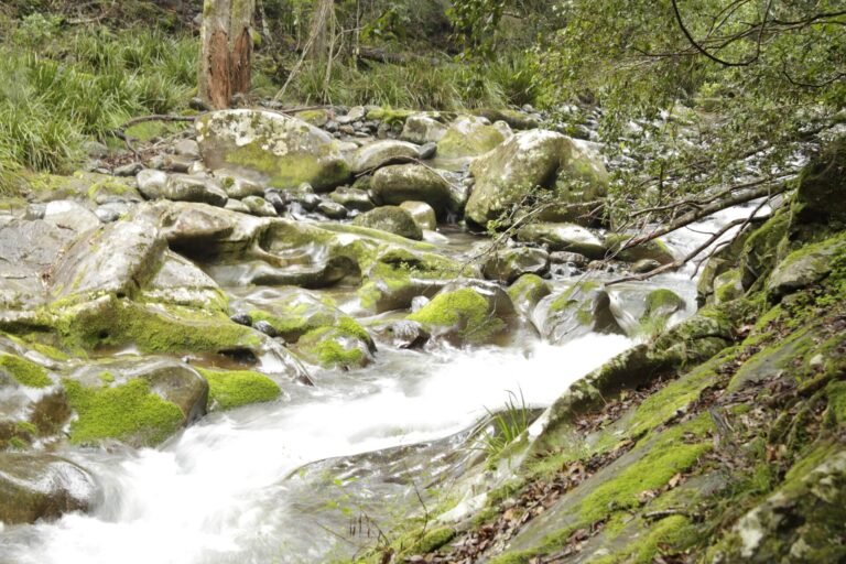 hunterarchaeology-imgg5