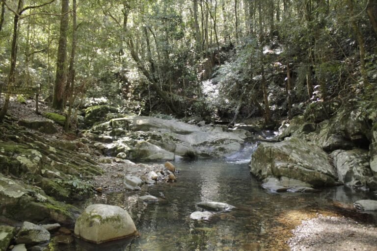 hunterarchaeology-imgg9