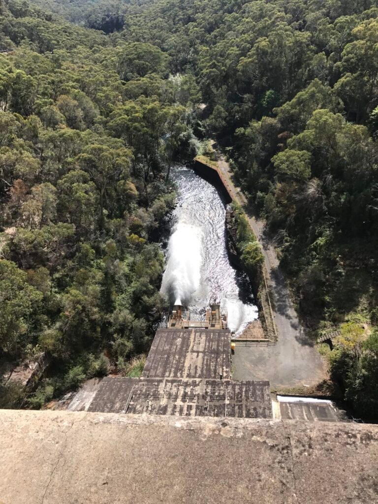 Exploring the Targeted Assessment Pathway