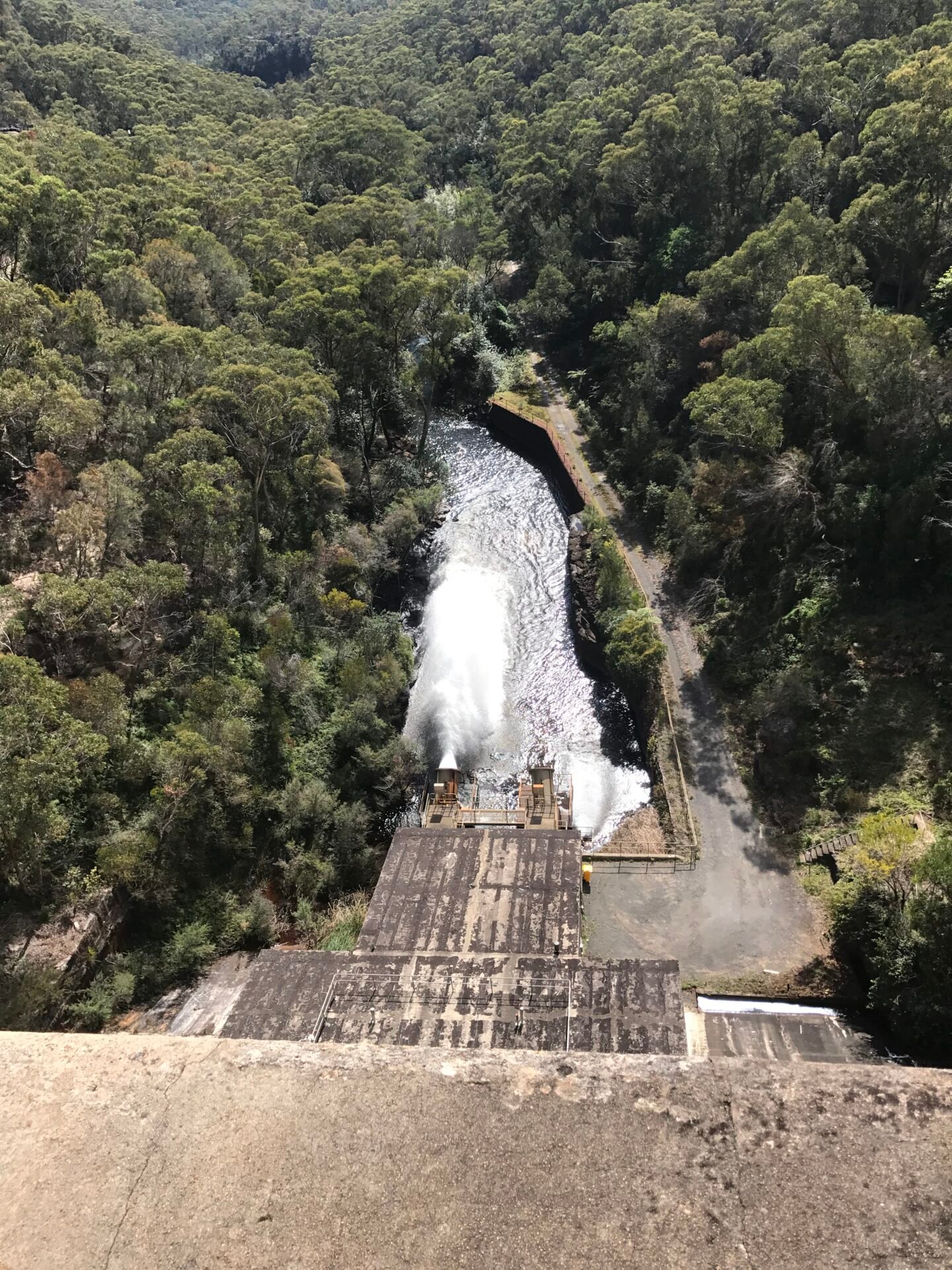 TAP: Cutting Corners, Not Red Tape